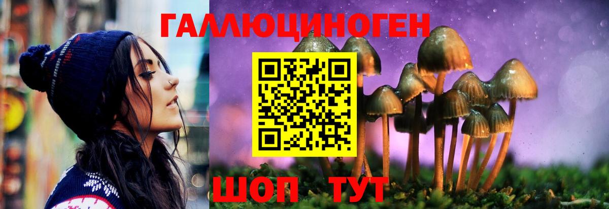 Томск  Галлюциногенные грибы MAGIC MUSHROOMS  Вход с VPN 